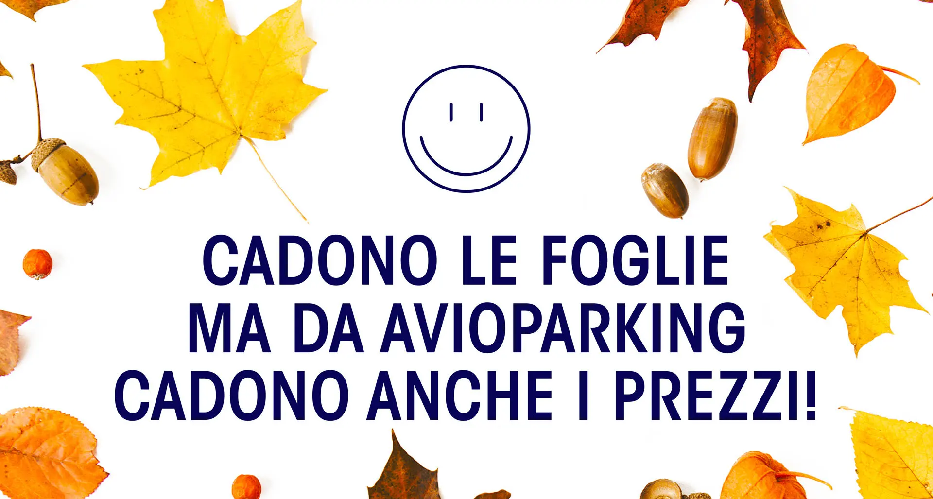 FALL PROMO 🍂 23% discount