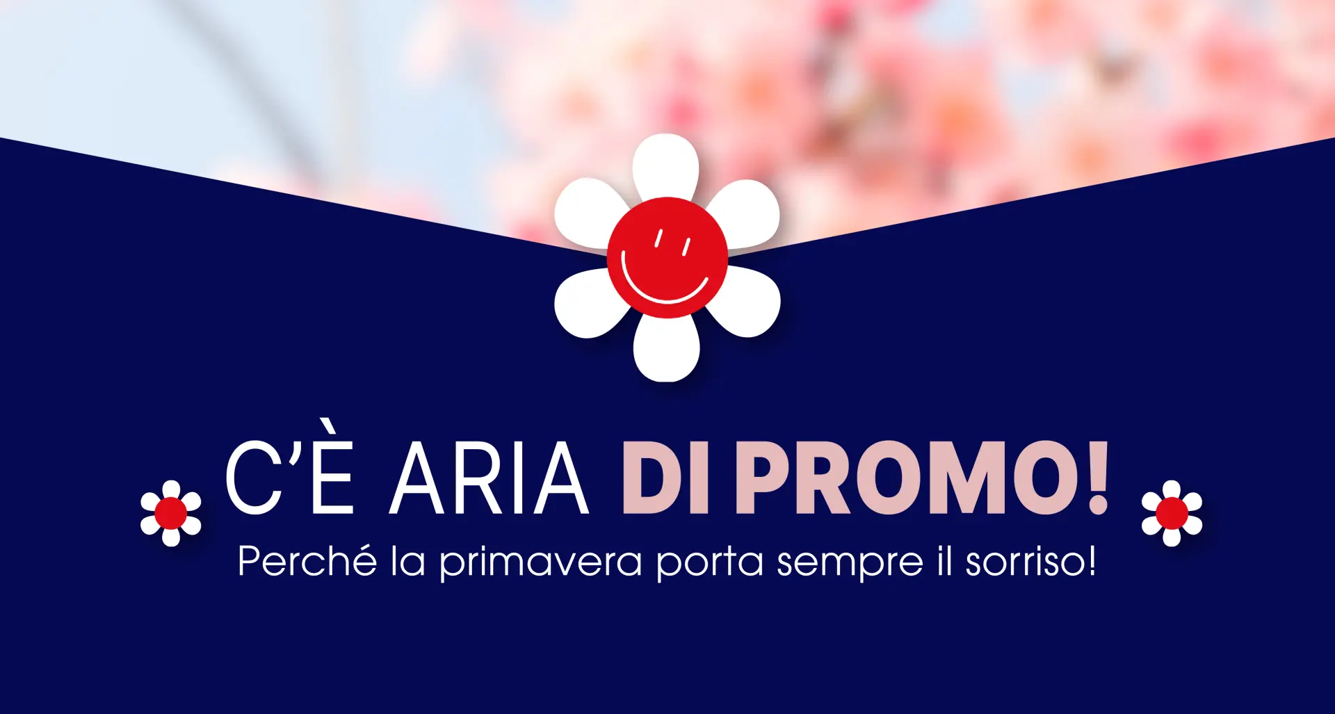 SPRING PROMO ✨ -20%